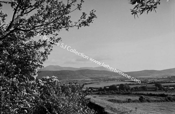 GALTEES FROM TIPPERARY